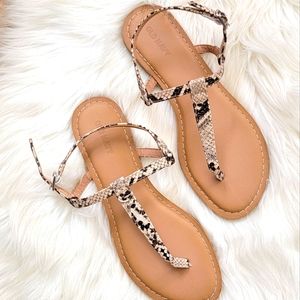 Snake Flat Sandals